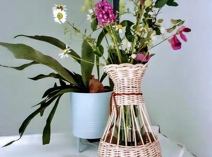 Casa Gaia 아파트 *